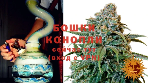 ПСИЛОЦИБИНОВЫЕ ГРИБЫ Остров
